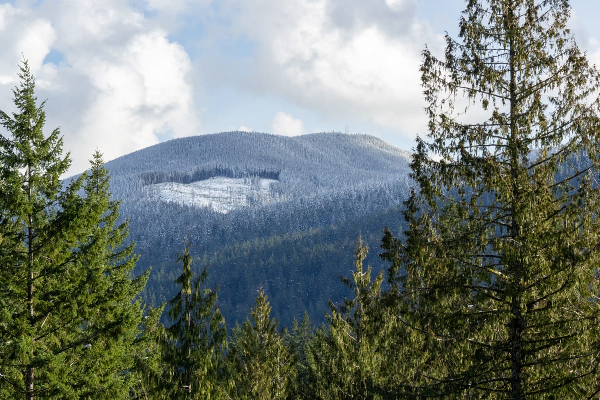 Tiger Mountain Snow Dusting